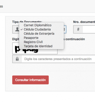 Consulta runt por cedula