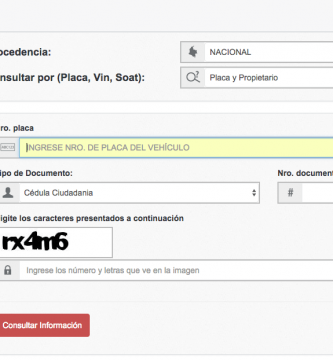 runt por placa de vehiculo
